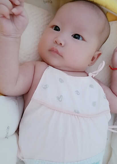 模特-
