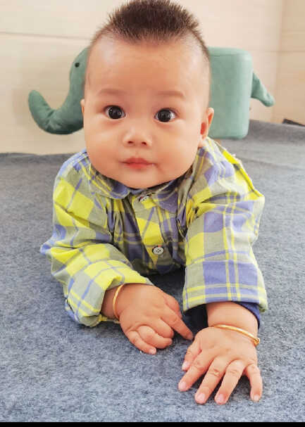 模特-