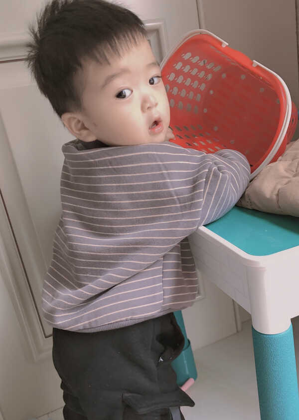 模特-