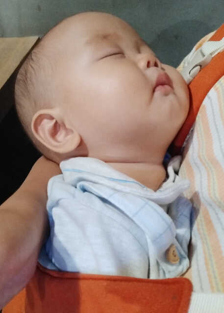 模特-