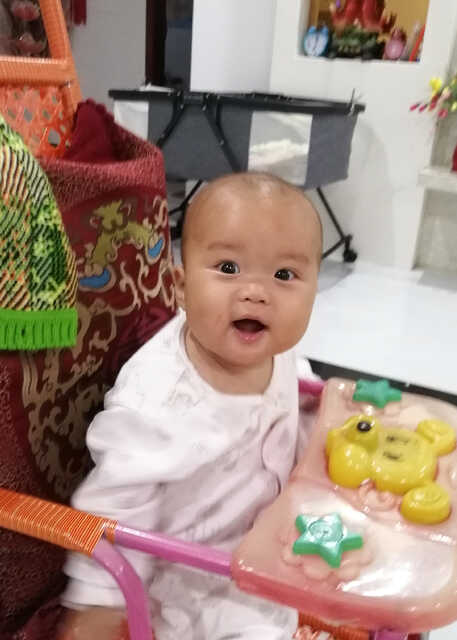 模特-