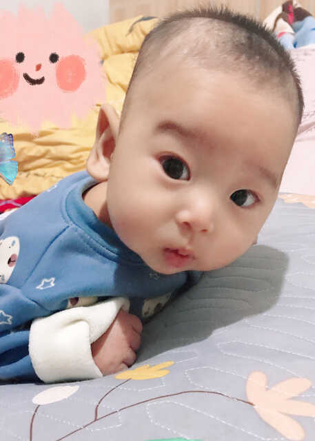 模特-