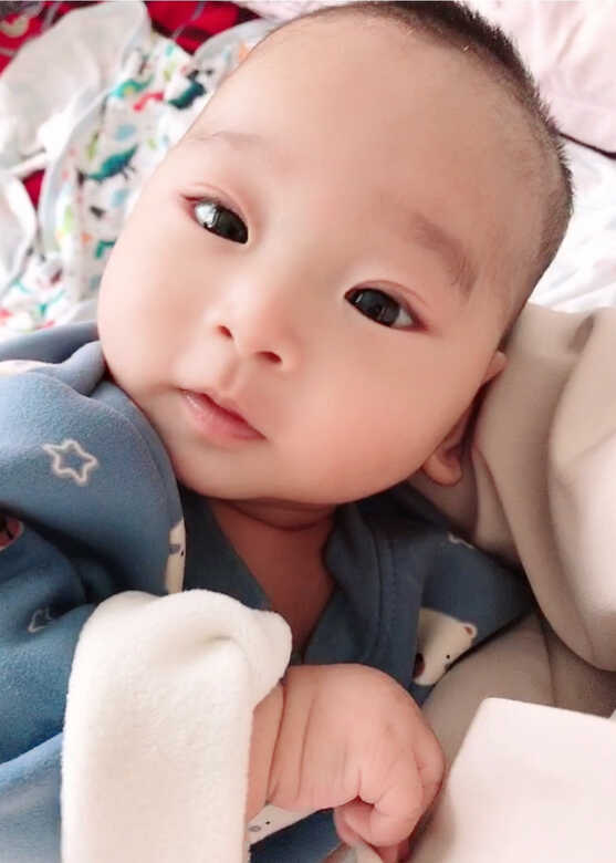 模特-