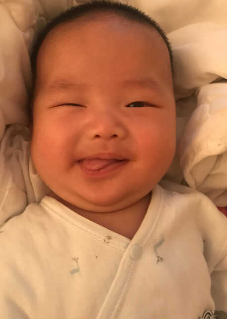 模特-