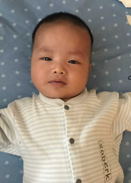 模特-