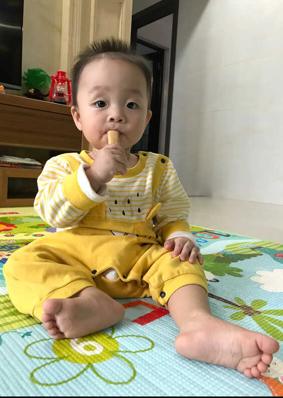 模特-