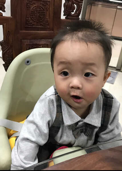 模特-