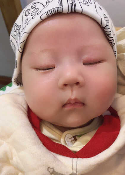 模特-