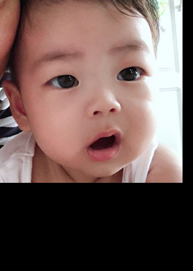 模特-