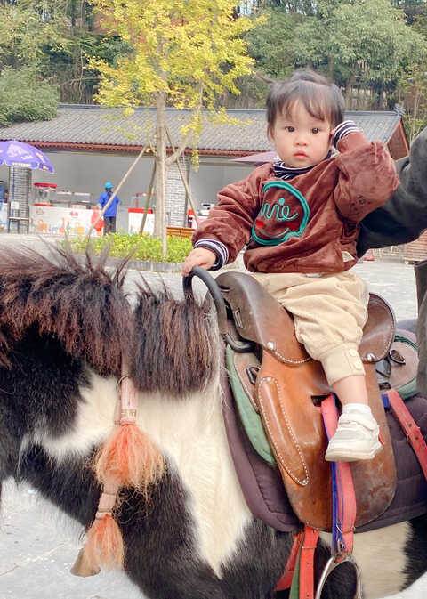 模特-