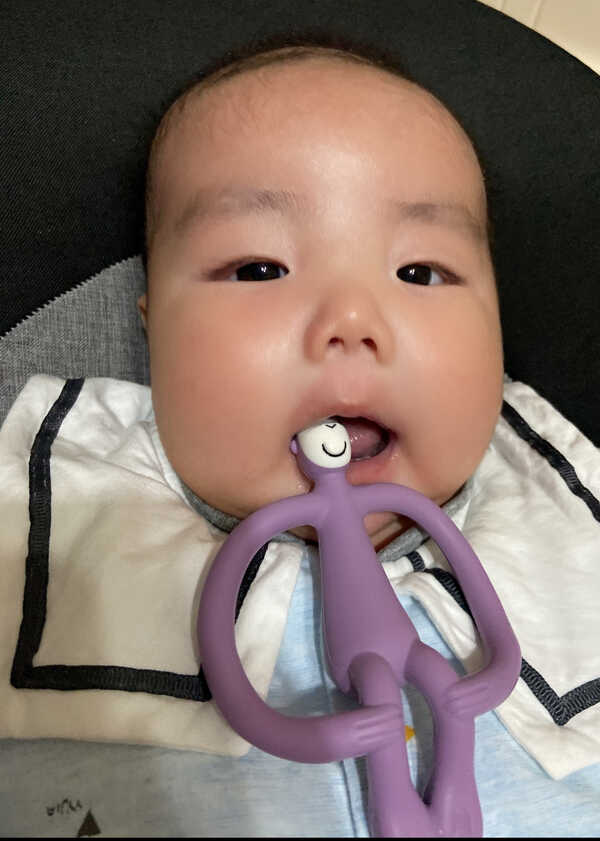 模特-