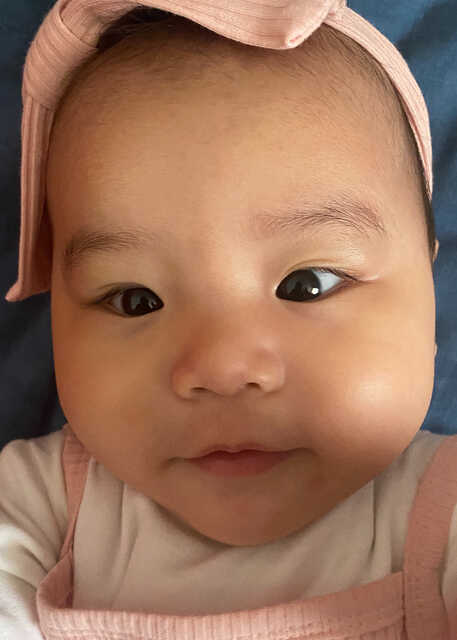模特-