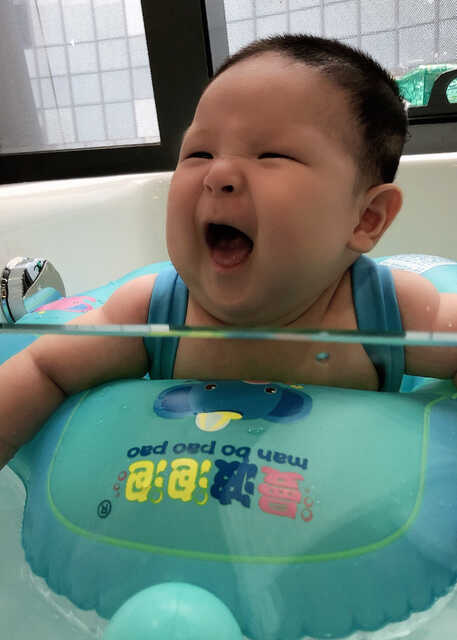 模特-