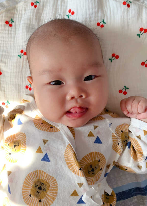 模特-