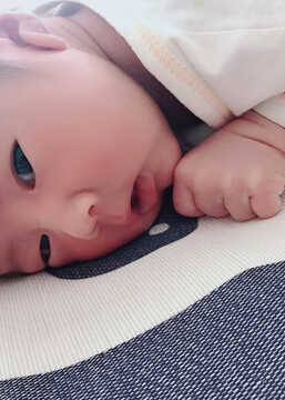 模特-
