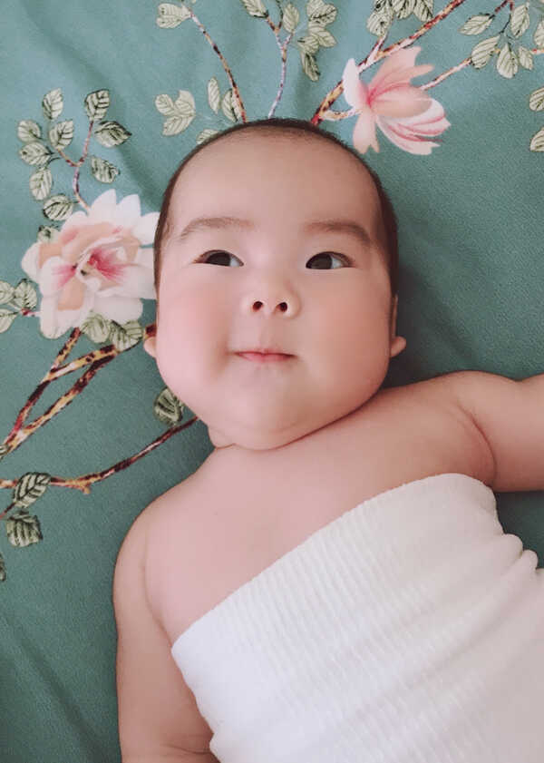 模特-