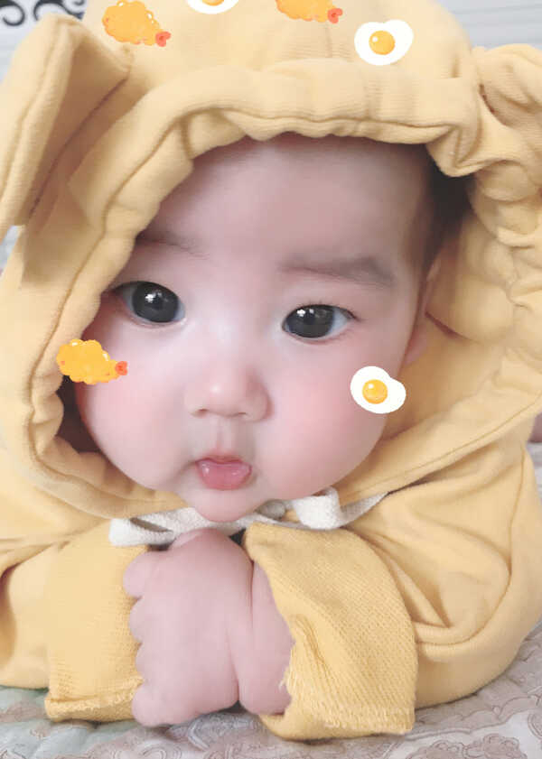 模特-
