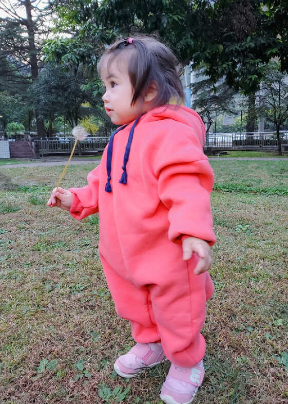 模特-