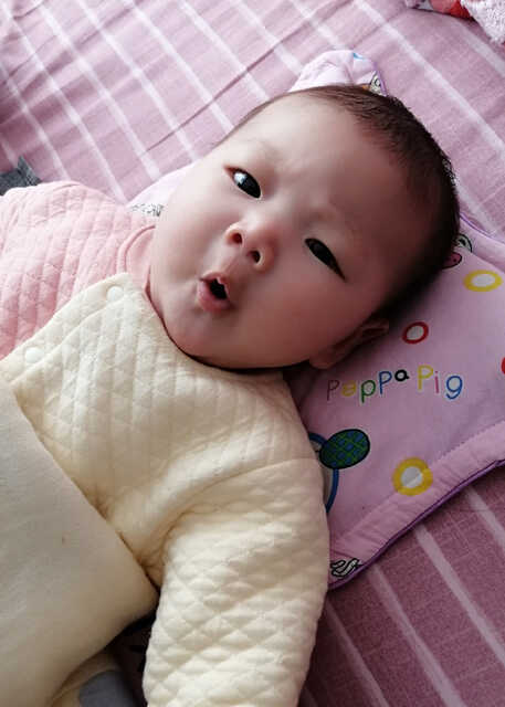 模特-
