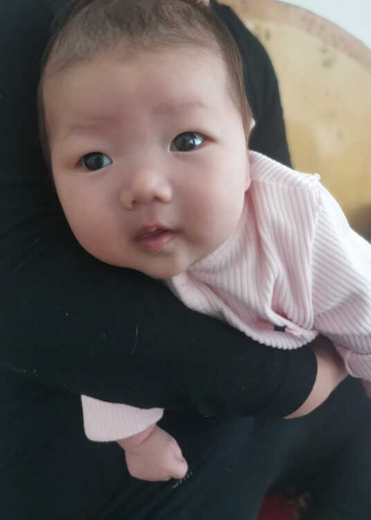 模特-