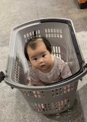 模特-