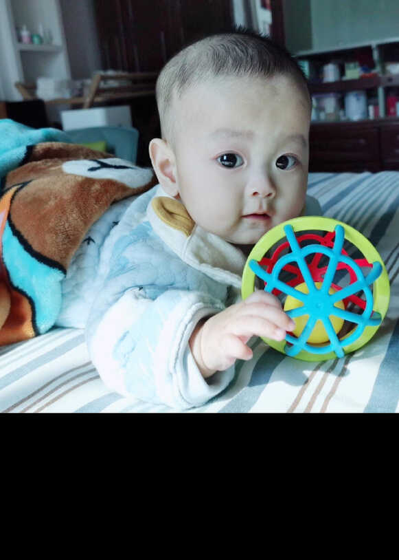 模特-