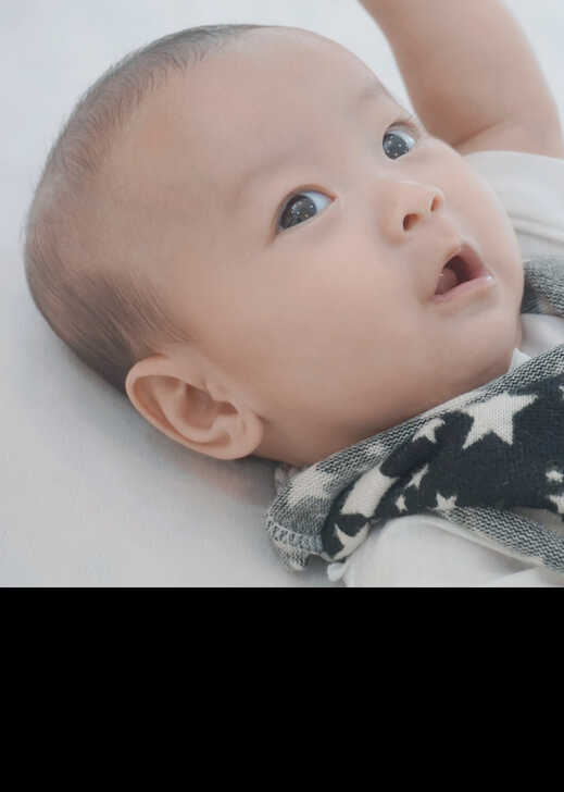 模特-