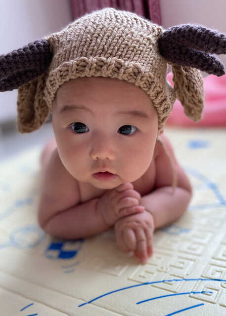 模特-