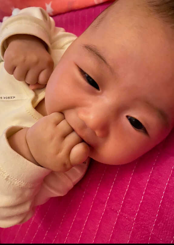 模特-