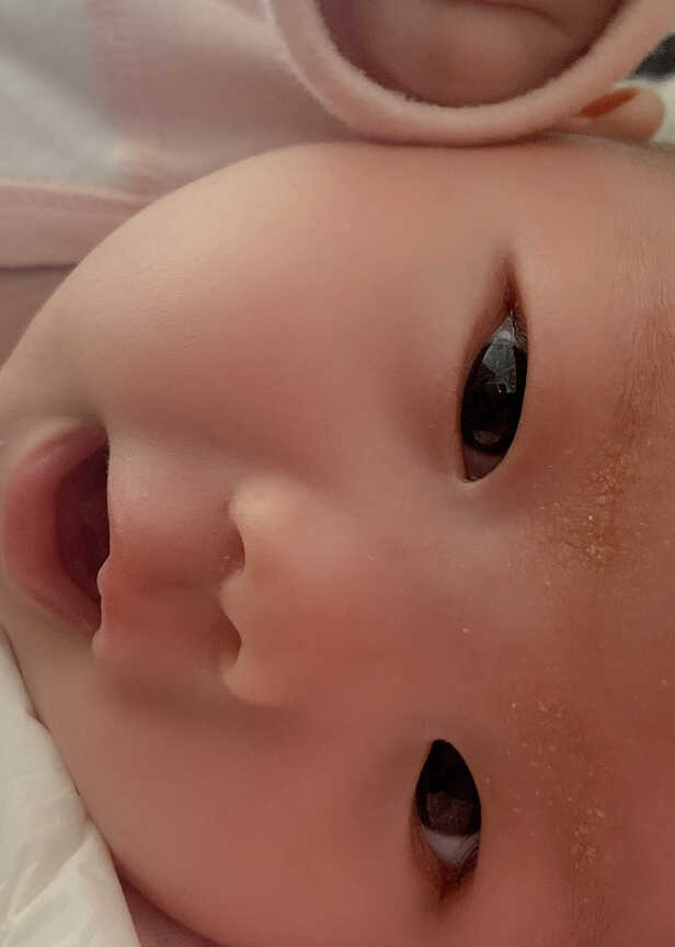模特-