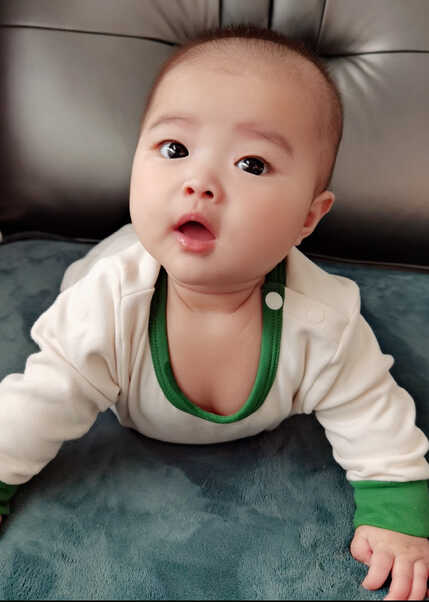 模特-
