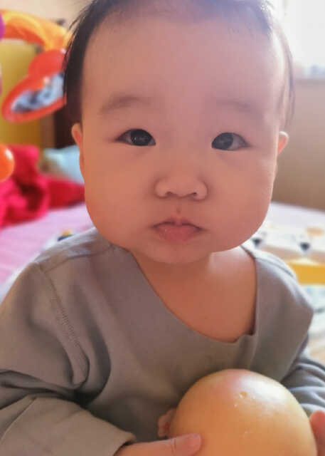 模特-