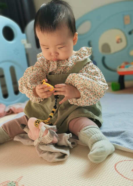 模特-