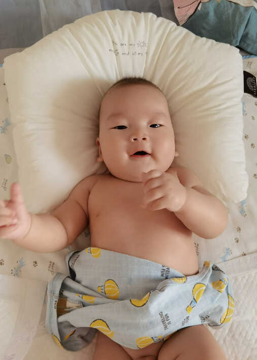 模特-