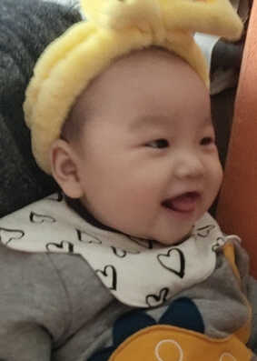 模特-