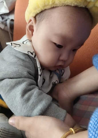 模特-