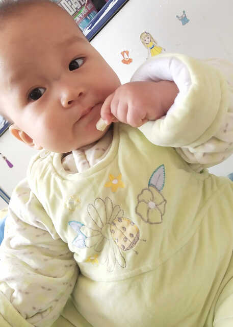 模特-