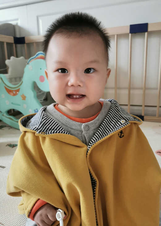 模特-