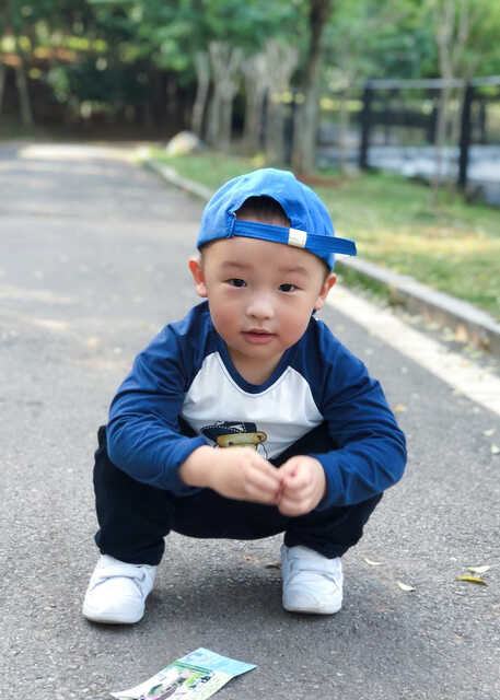模特-