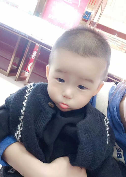 模特-