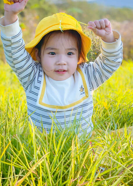 模特-