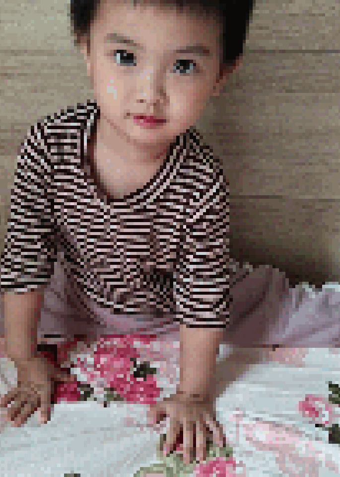 模特-