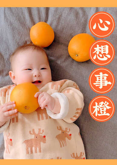 模特-