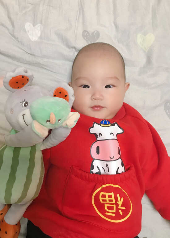 模特-