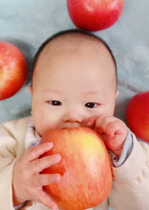 模特-