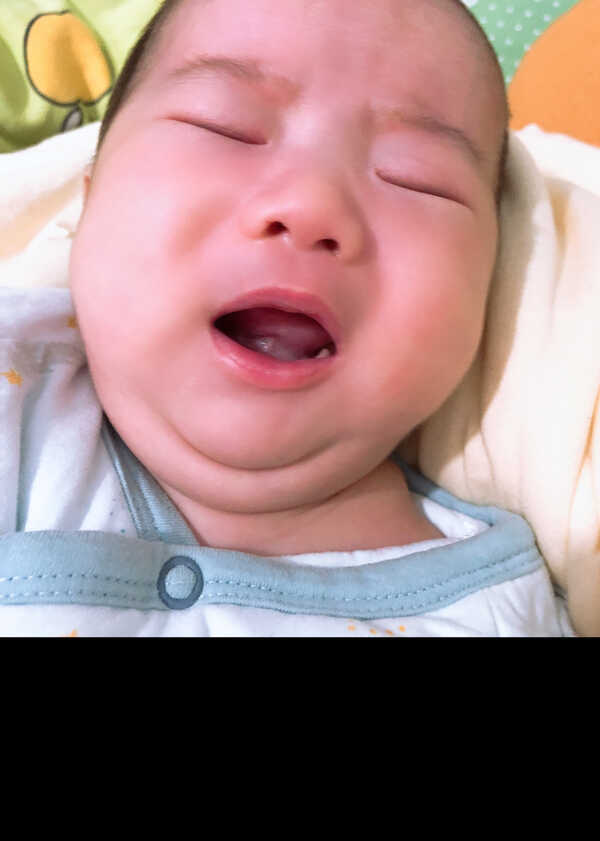 模特-