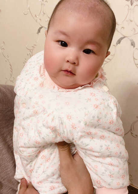 模特-