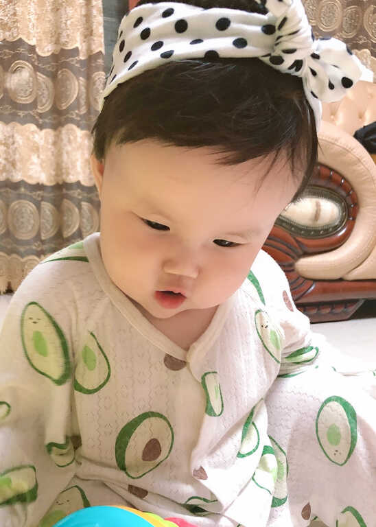 模特-