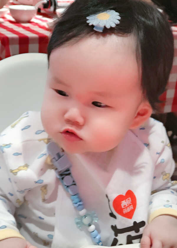 模特-