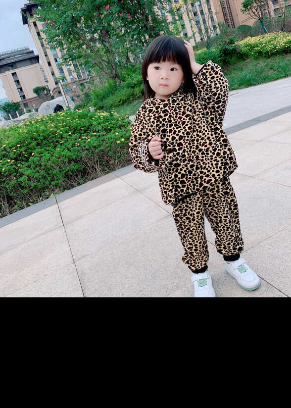 模特-